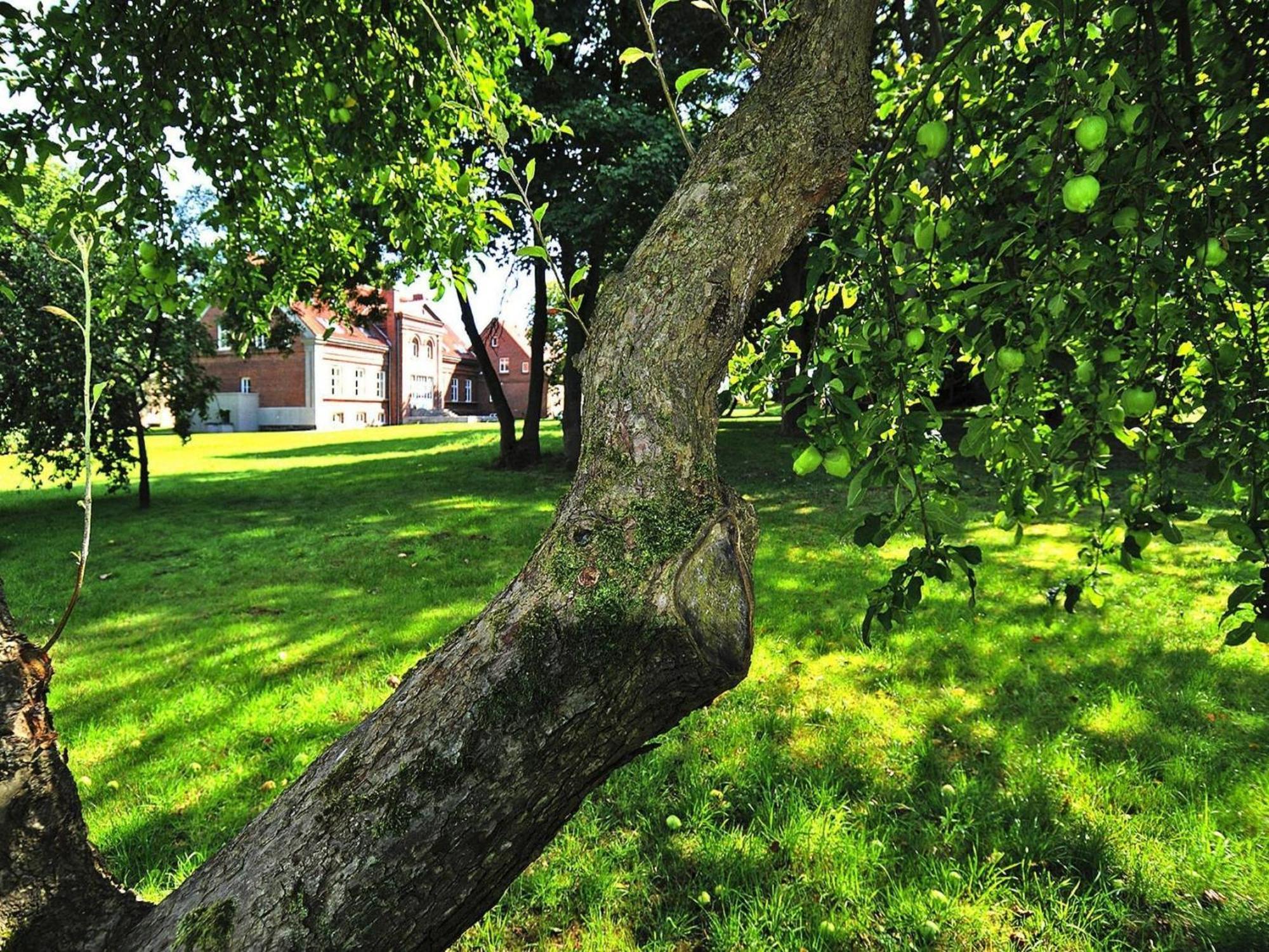 Gutshaus Zicker In Garz Villa Garz  Bagian luar foto