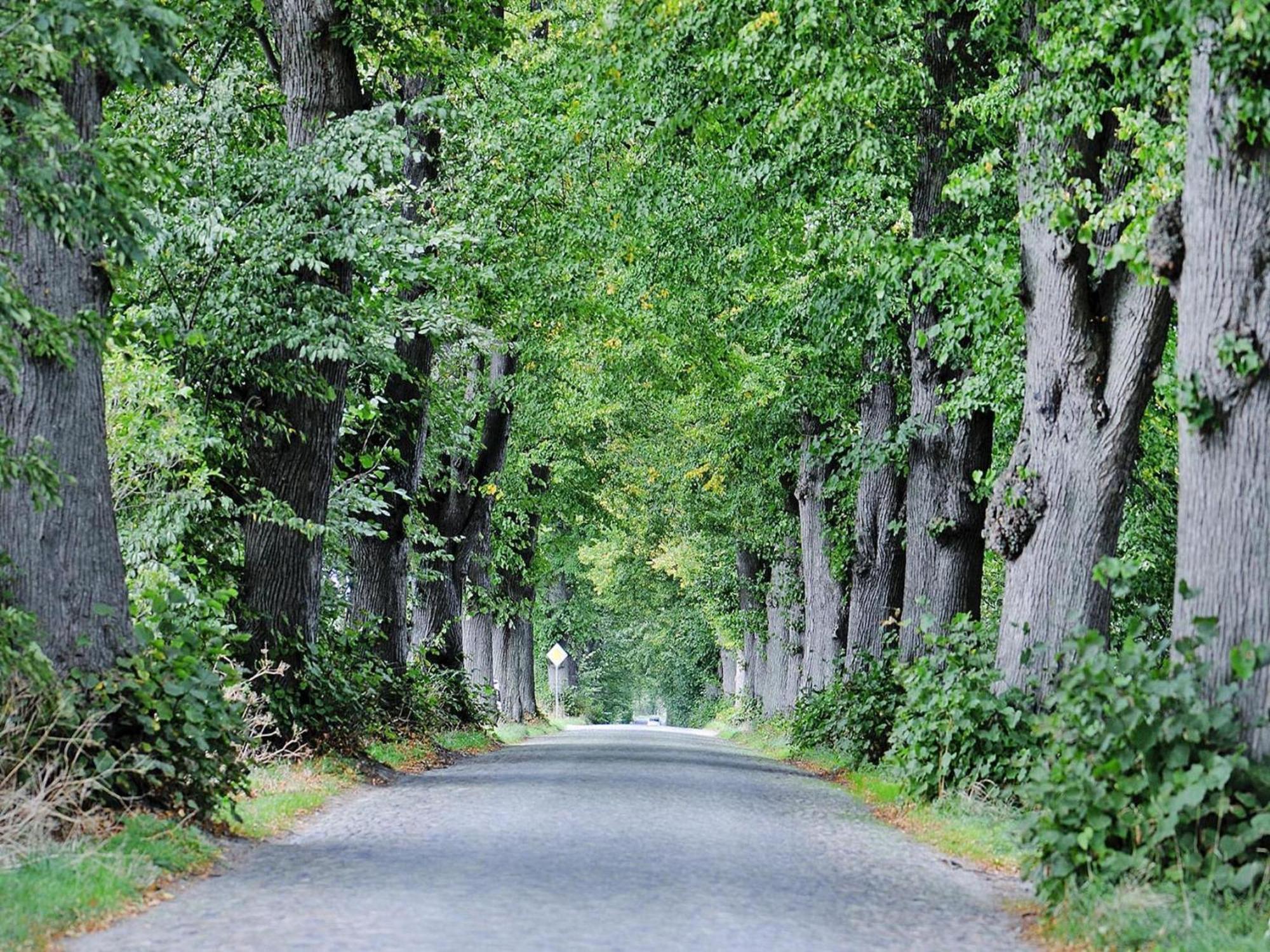 Gutshaus Zicker In Garz Villa Garz  Bagian luar foto