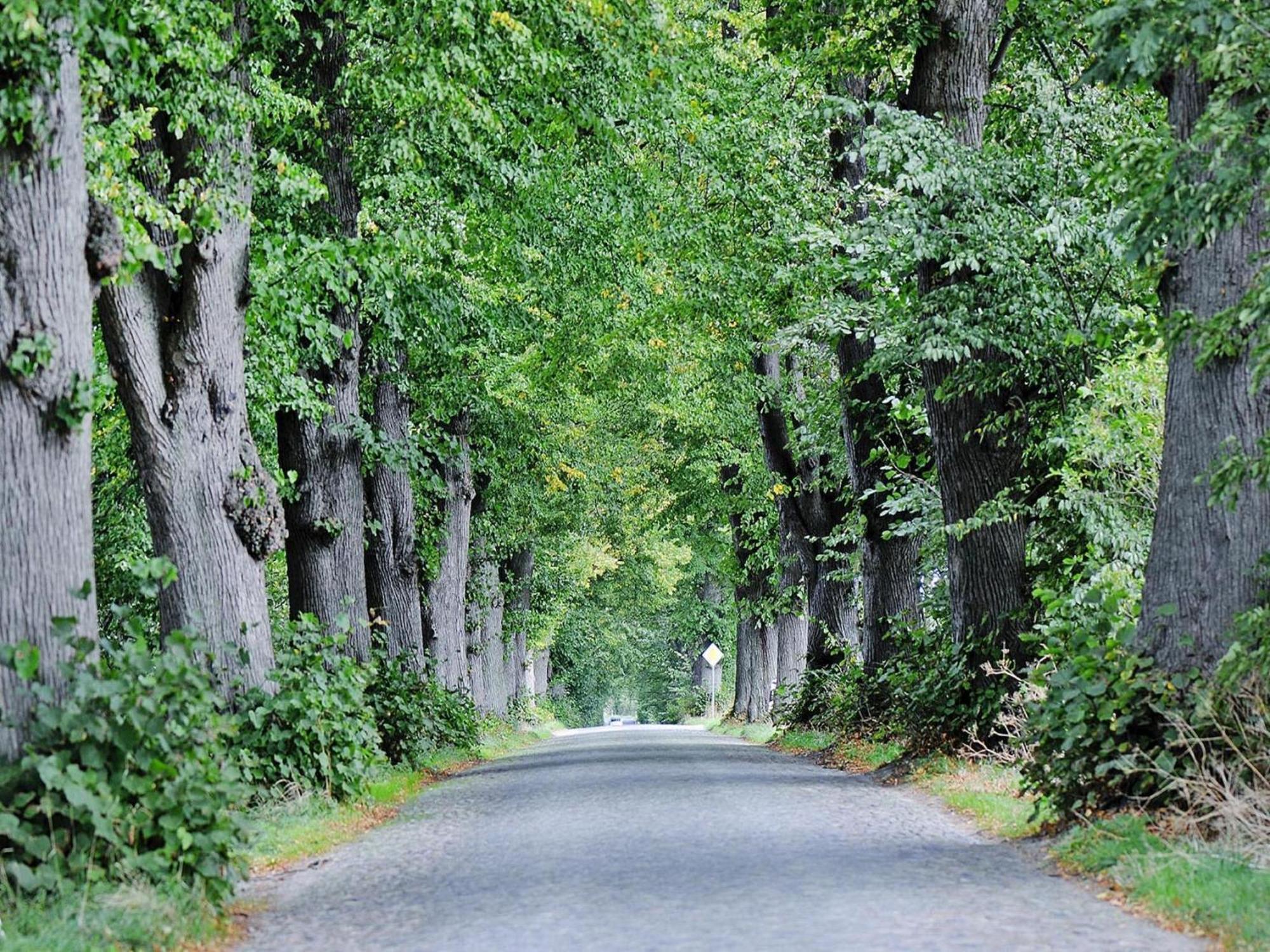 Gutshaus Zicker In Garz Villa Garz  Bagian luar foto